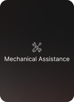 Mechanical Assistance